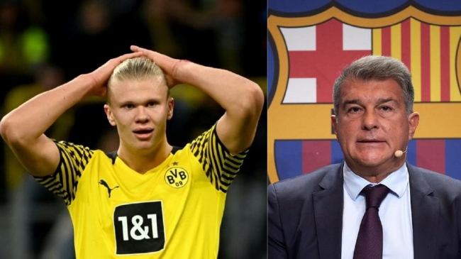 篮网攻守平衡，效率值排名上升（篮网攻防均衡，效率排名走高）